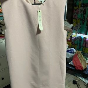 Blush sleeveless Dress